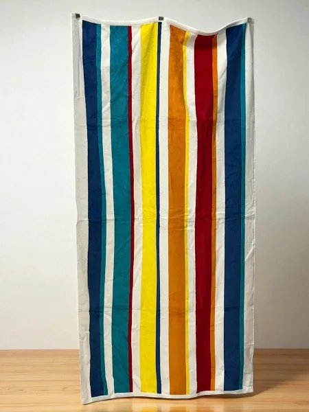 Plažni peškir – 100% pamuk – 160 x 80 cm VIK'S25 ( VLK000668-VIK'S25 )