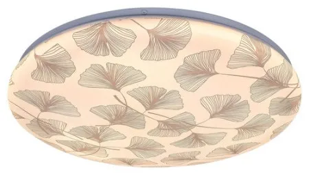 Rabalux Benita plafonjera ( 3076 )