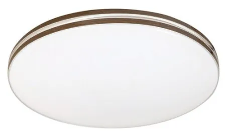 Rabalux Oscar2 plafonjera ( 71173 )