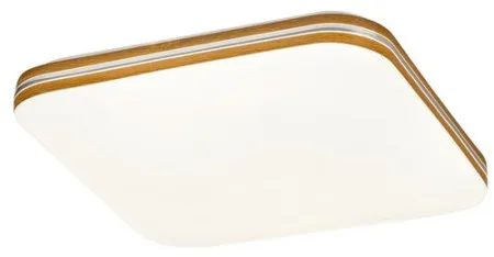 Rabalux Oscar2 plafonjera ( 71174 )
