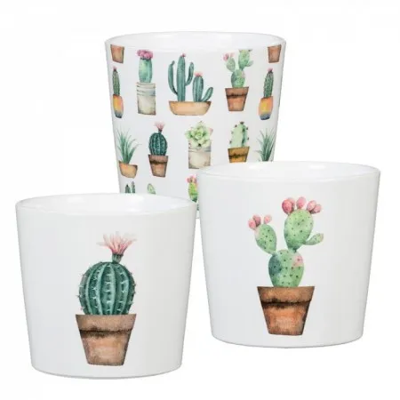 Scheurich Saksija 870/07 cacti, carla, carlos ( SH 61877 )