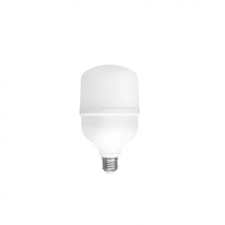 Smart Connexion E27/30W6500K//2700LM/25.000H/TORCH ( E2730CRL/Z )