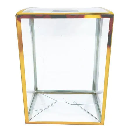 Spawn Clear Gold Version 4'' Pop Protector With Film On It With Soft Crease Line And Automatic Bot Lock ( 053539 )