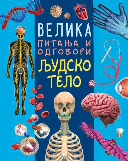 Velika pitanja i odgovori: Ljudsko telo ( 29737 )