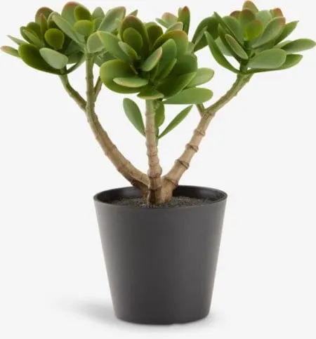 Veštačka biljka V23cm zelena