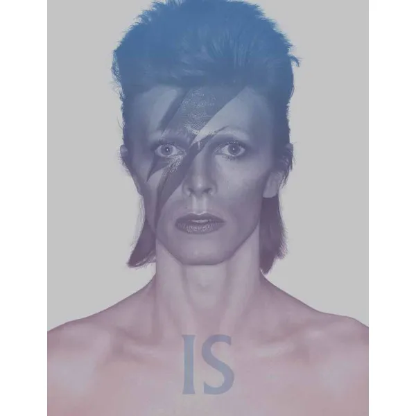 DAVID BOWIE IS