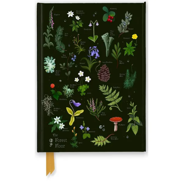 Notes ANNA STEAD: The Forest Floor