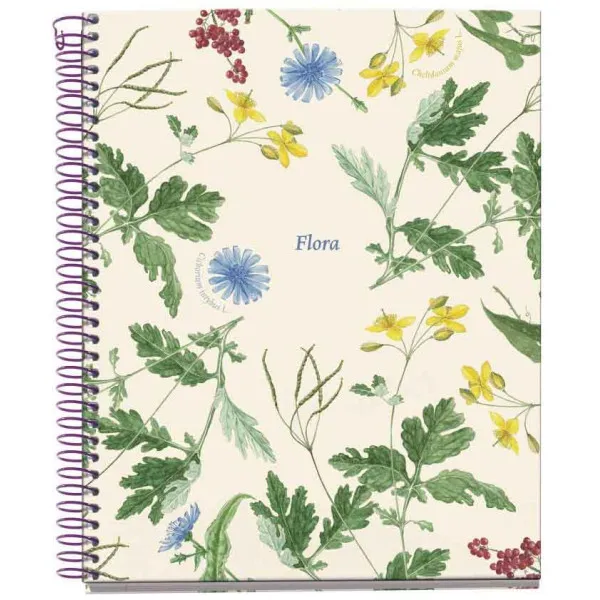 Notes LISO MEDITERRANEO B. FLORA A5