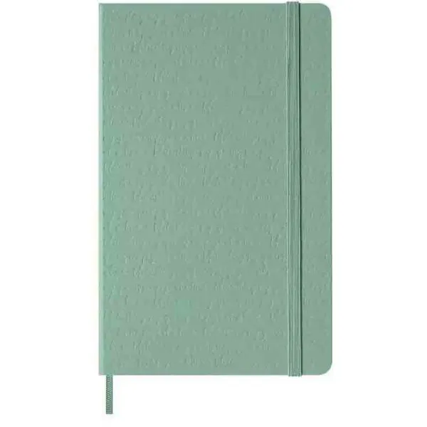 Notes MOLESKINE SAGE GREEN linije