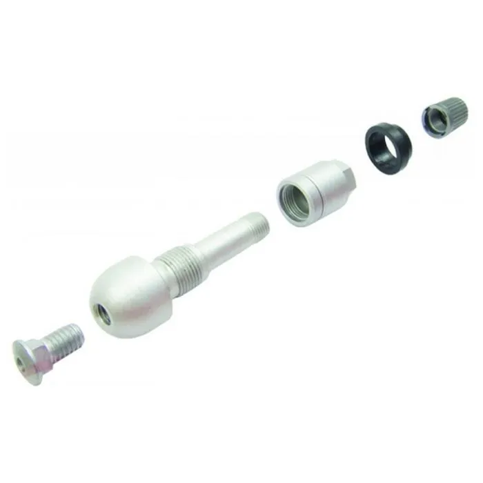 TPMS - ventil za TG1B MB senzor PROFITOOL