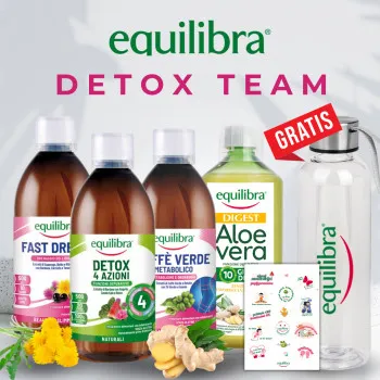 Equilibra Box Detox Team