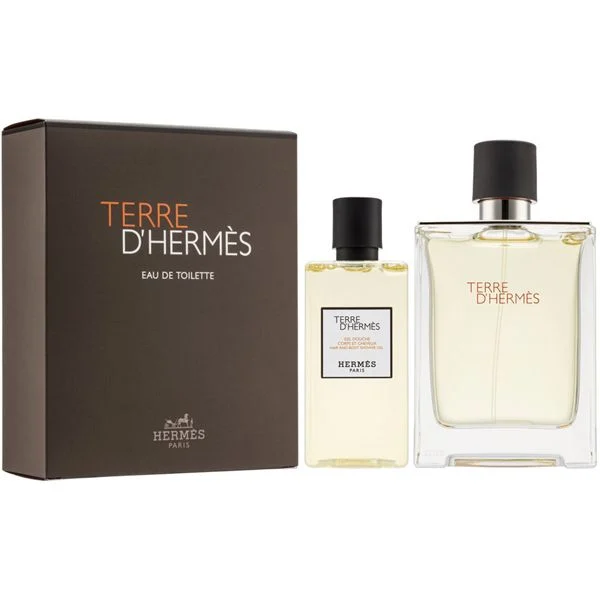 Hermes Terre d'Hermes muški set (edt 100ml + sg 80ml)