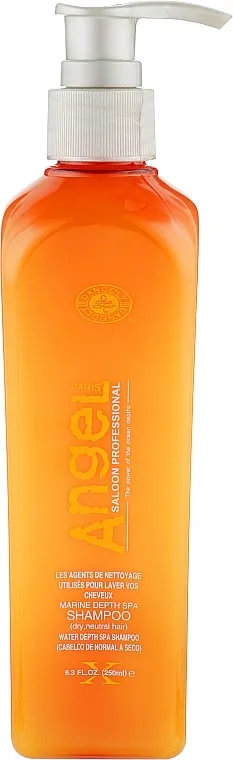 Angel Professional Paris Shampoo for dry and Normal Hair Šampon za suhu i normalnu kosu