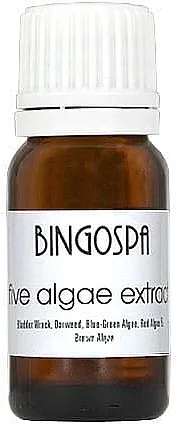 BingoSpa Ekstrakt pet morskih algi