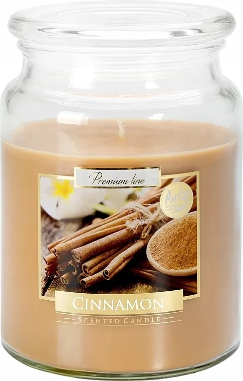 Bispol Premium Line Aura Cinnamon Mirisna premium sveća u tegli "Cimet"