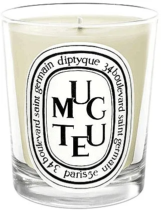 Diptyque Muguet Candle Mirisna svijeća