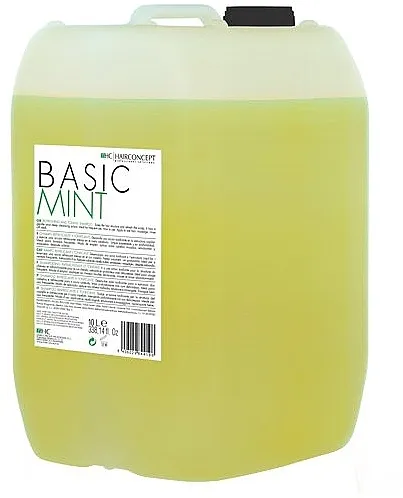HairConcept Color&amp;Color Servise Basic Mint Shampoo Šampon "Osnovna njega menta"