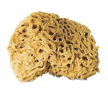 Hhuumm 01F Natural Sponge Prirodna spužva, smeđa, 12,5 cm