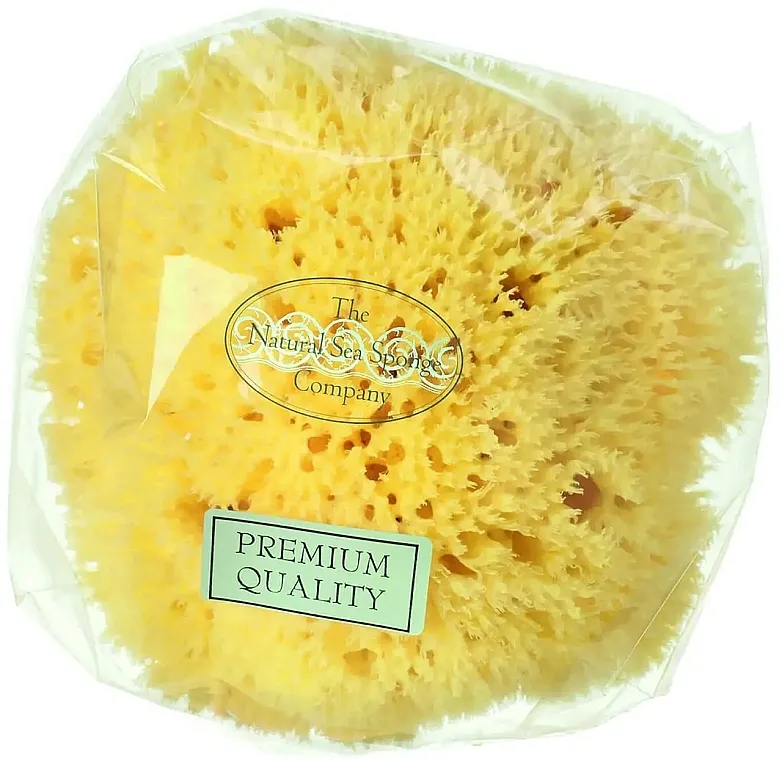 Hydrea London Honeycomb Sea Sponge Premium Quality Prirodna morska sunđer, 14 cm
