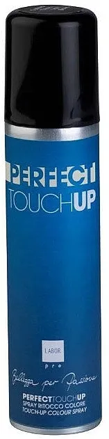 Labor Pro Perfect Touch Up Colour Spray Lak za sedu kosu