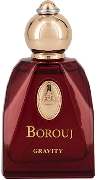 Parfemska voda Borouj Gravity