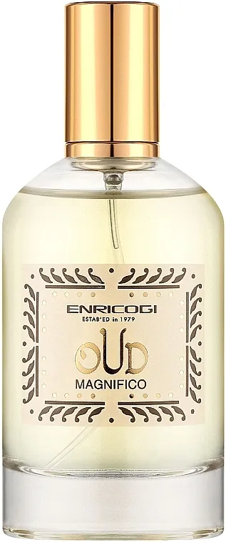 Parfemska voda Enrico Gi Oud Magnifico