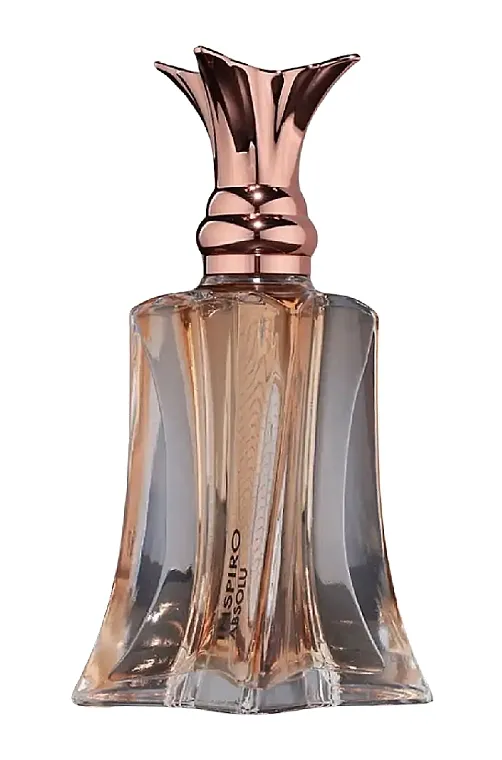 Parfemska voda Maison Des Parfums Inspiro Absolu
