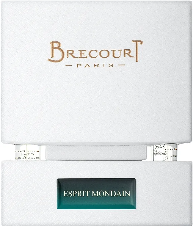 Set (edp/100ml + edp/2x7ml + edp/2x5ml) Brecourt Esprit Mondain