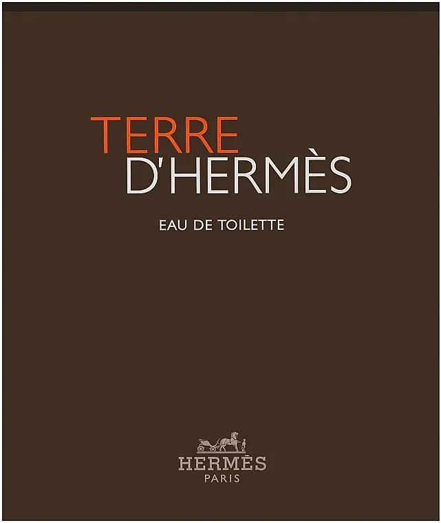 Set (edt/100ml + sh/g/80ml) Hermes Terre dHermes
