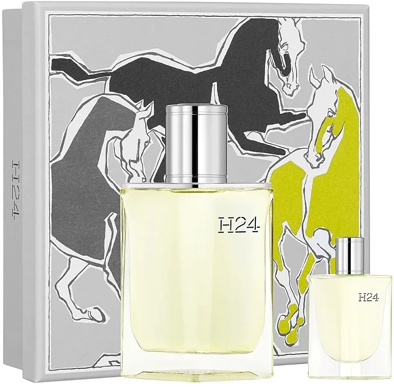 Set (edt/50ml + edt/mini/5ml) Hermes H24 Eau