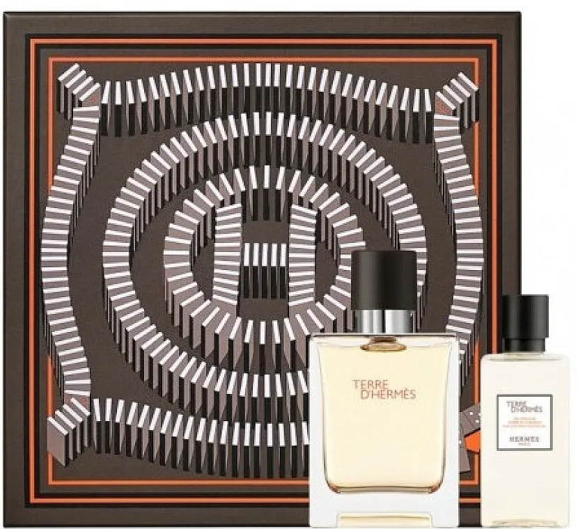 Set (edt/50ml + sh/gel/40ml) Hermes Terre dHermes