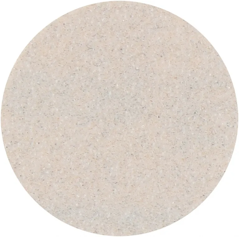 Staleks Pro Zamjenjive datoteke za disk za pedikuru "Pododisc", S, bijela, 240 pijeska, 50 kom.