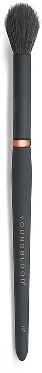 Youngblood Luxe Highlight YB7 Brush Kist za highlighter