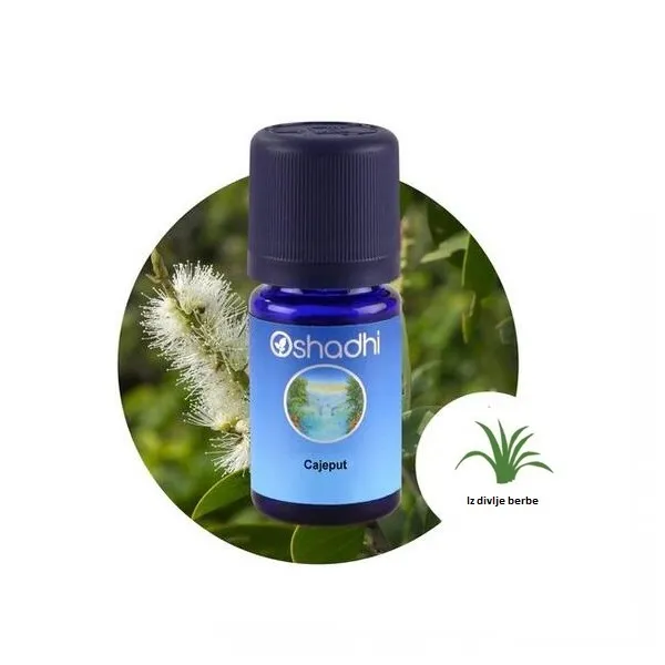 Oshadhi Eterično ulje KAJEPUT 10ml