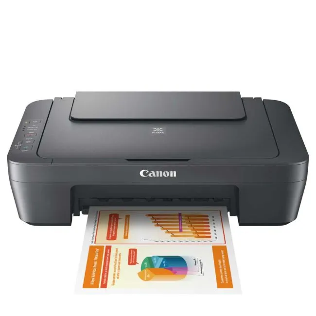 CANON MG-2551S GREY EUR