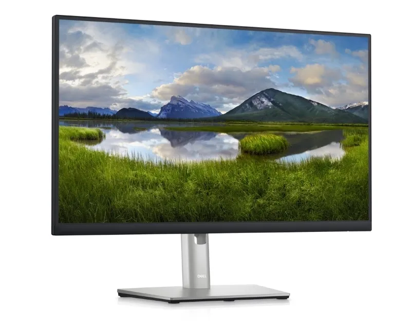 DELL 23.8 INCH P2423D QHD PROFESSIONAL IPS MONITOR