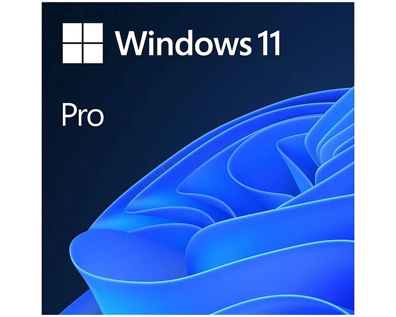 MICROSOFT WINDOWS 11 PRO FPP 64-BIT (HAV-00164)