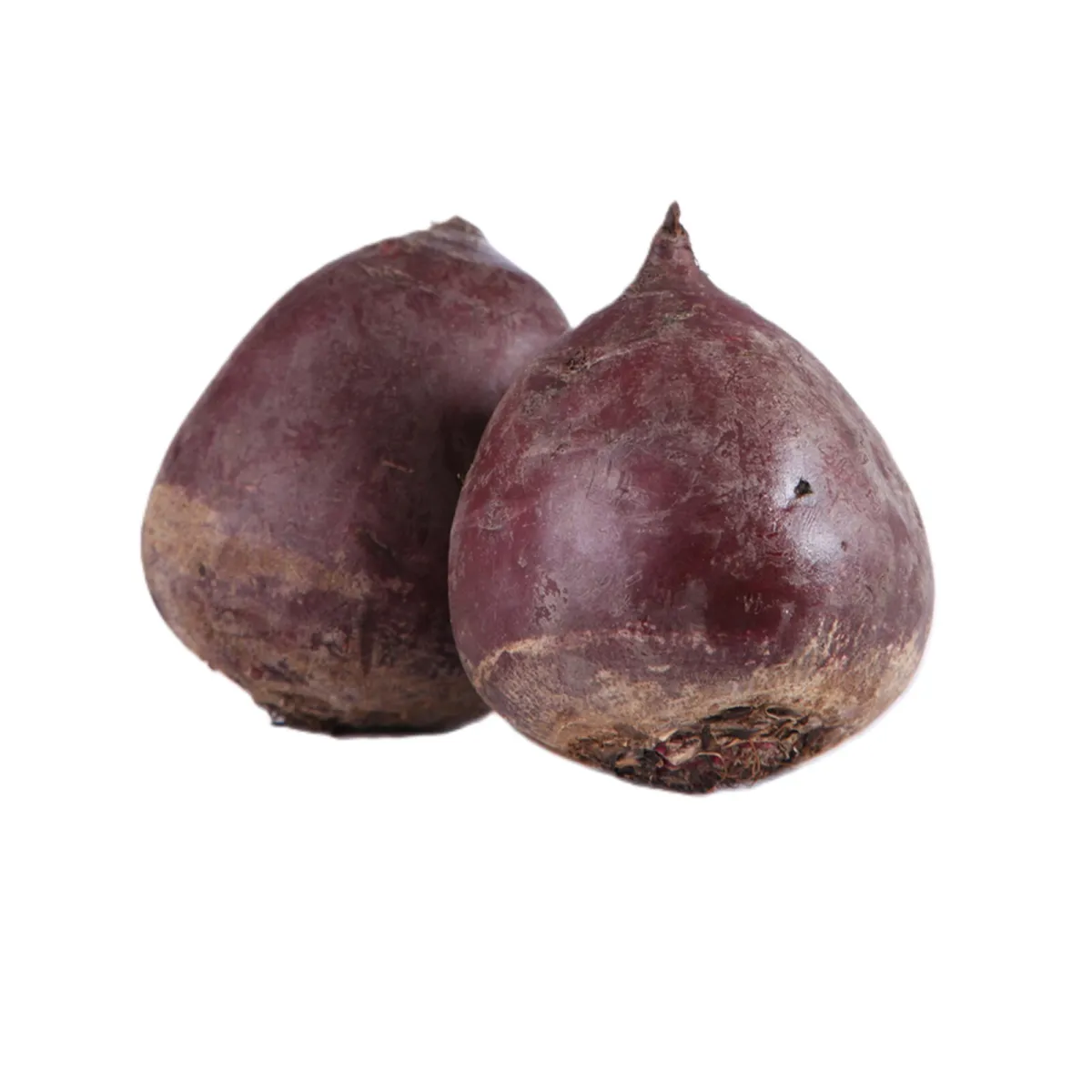 Cvekla