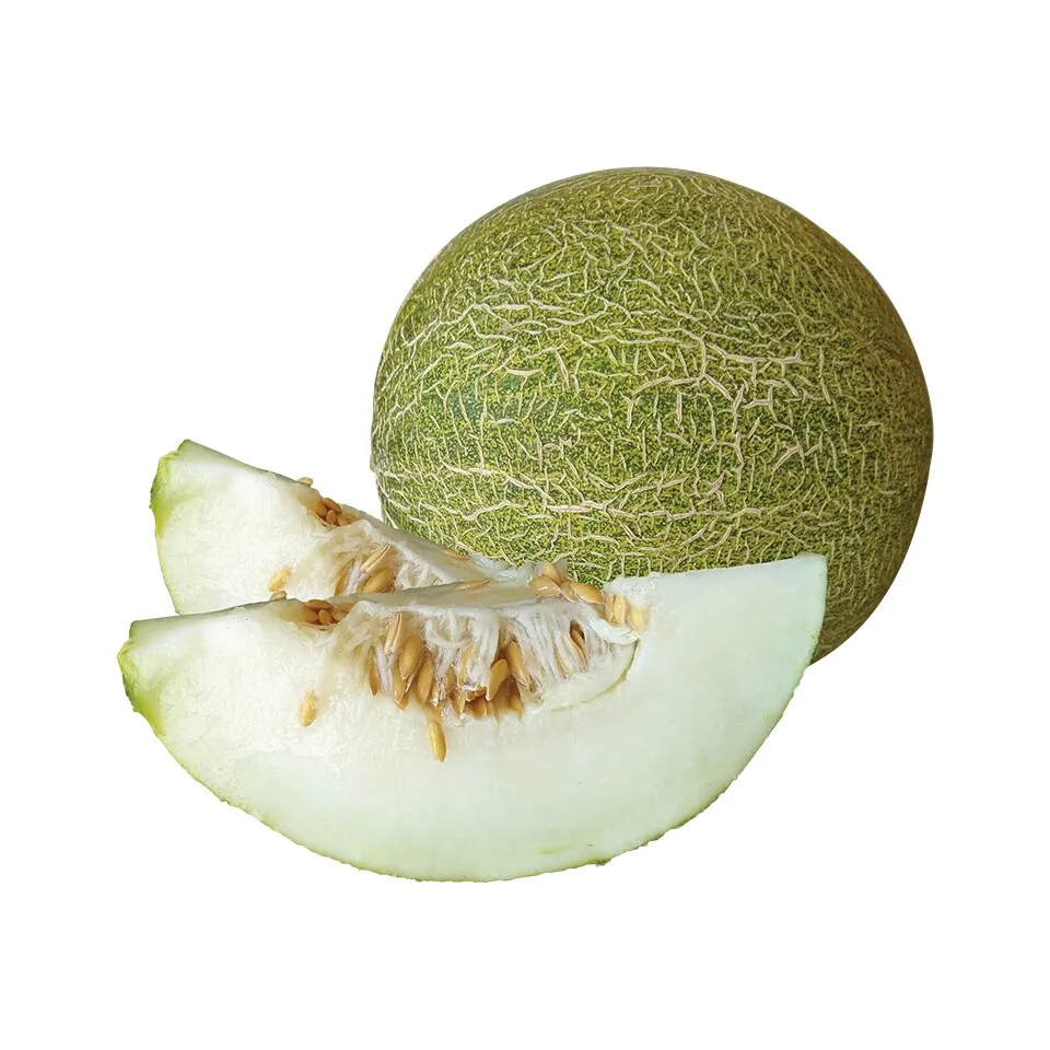 Dinja limun domaca