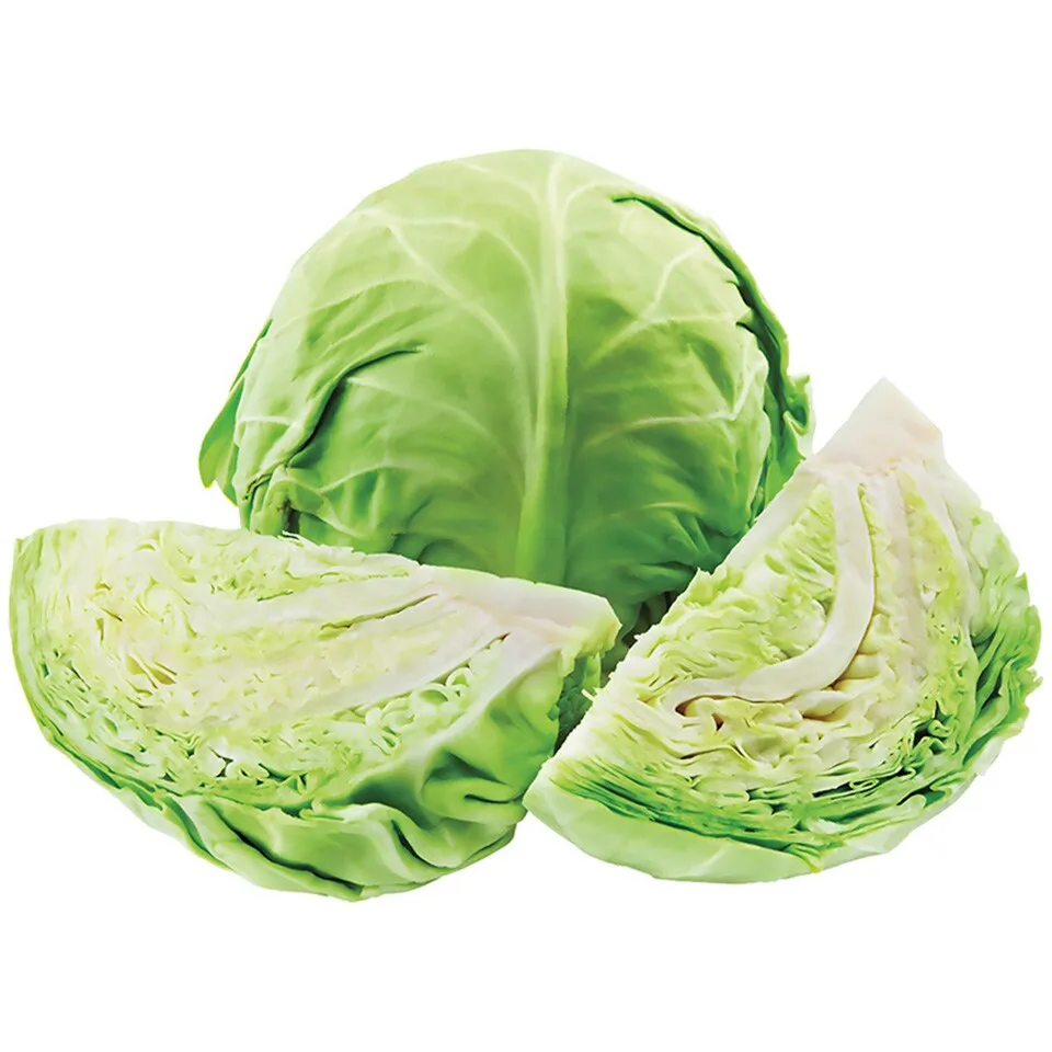 Kupus