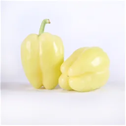 Paprika babura
