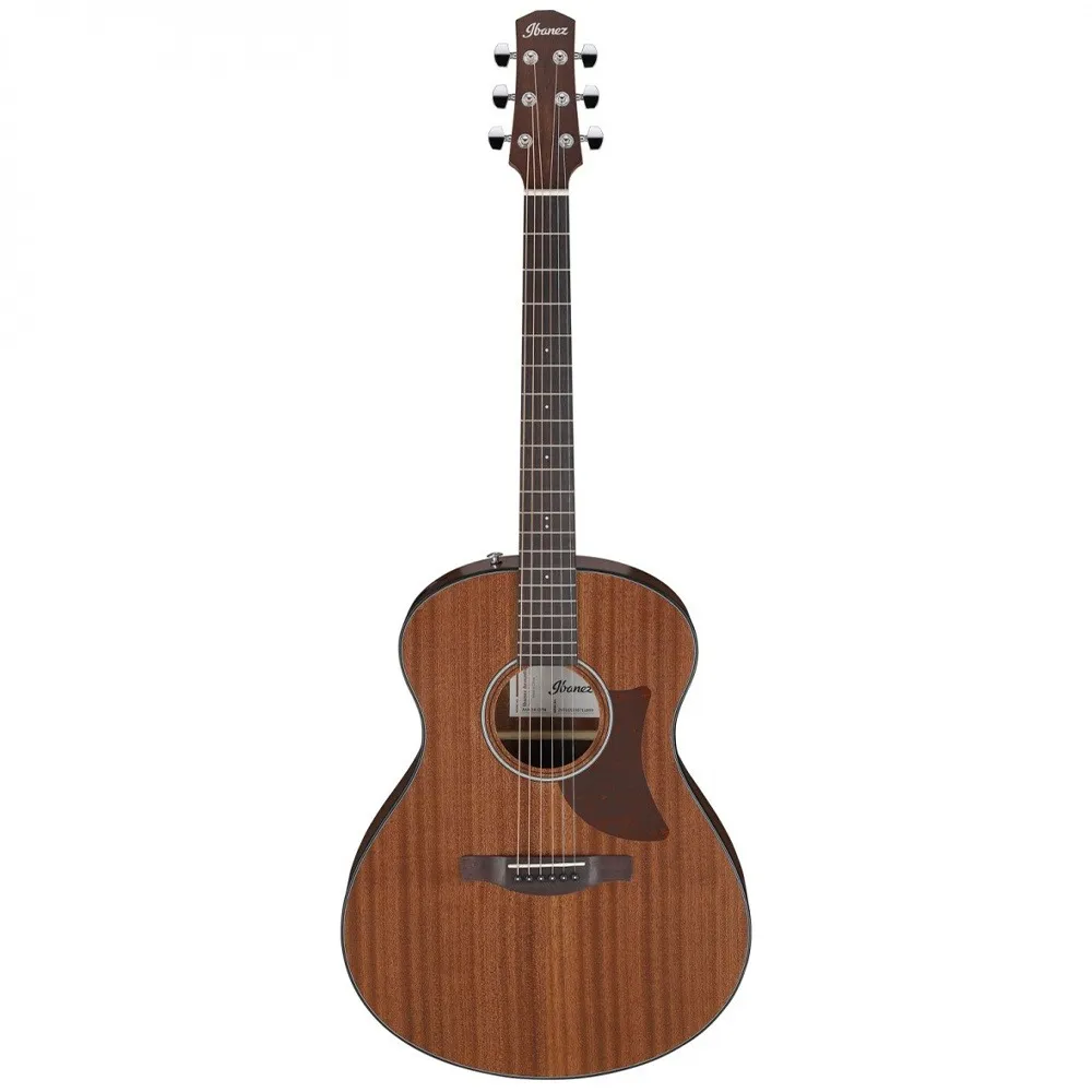 Ibanez AAM54-OPN Advanced Acoustic Auditorium Pure Akustična gitara  finiš Open Pore Natural boja