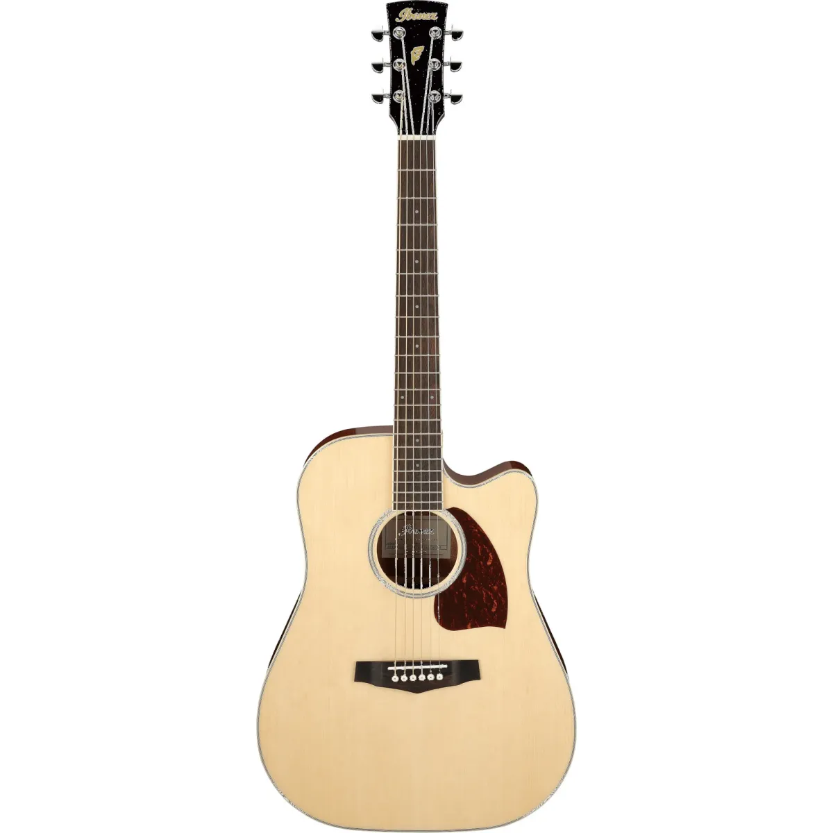 Ibanez PF16WCE-NT Akustična gitara sa ozvukom Boja NT : Natural High Gloss Finiš