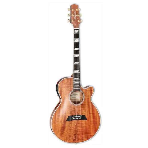 Takamine TSP178ACKN Akustična japanska ozvučena gitara