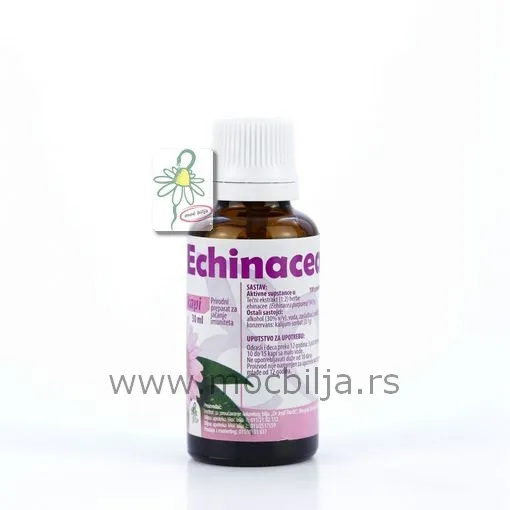 ECHINACEA kapi