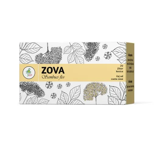 Filter čaj od cveta zove