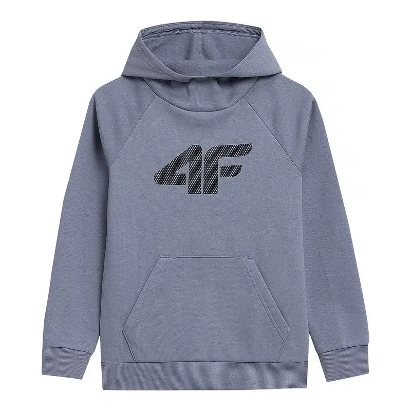 Dečiji duks 4F Sweatshirt
