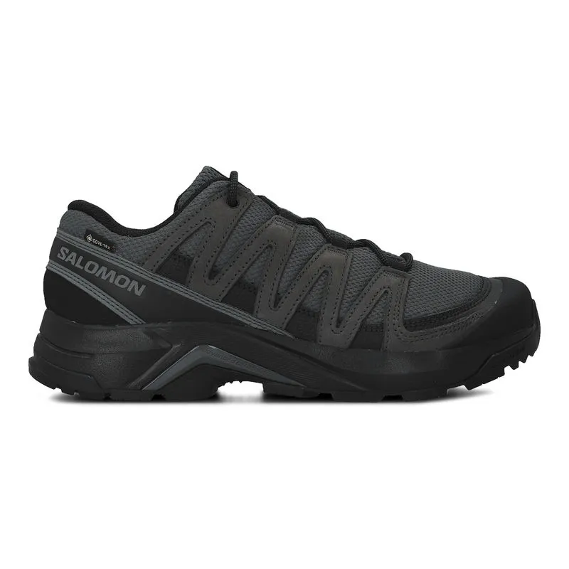 Muške cipele Salomon X-adventure recon gtx