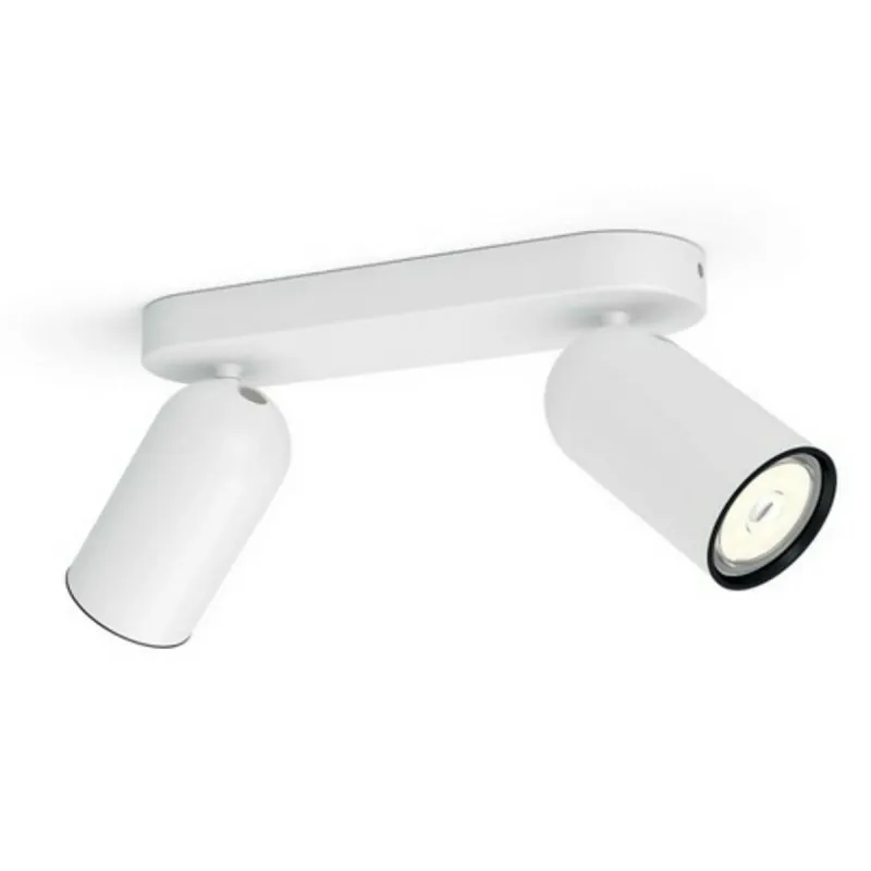 SPOT SVETILJKA PONGEE 2x10W 50582/31/PN