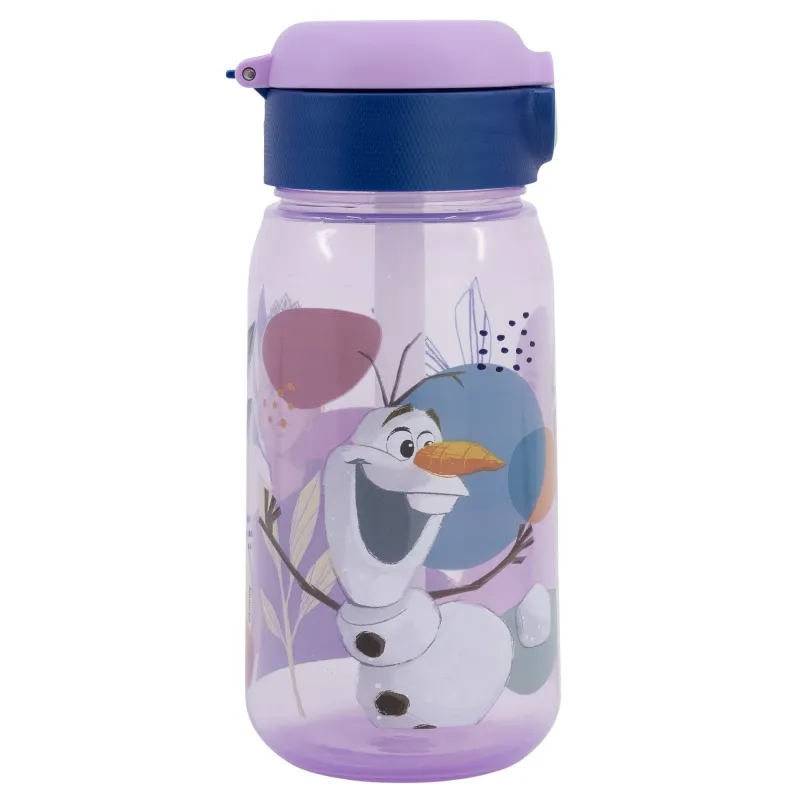 Dečija flaša za vodu Active Frozen 510ml sa slamčicom Stor
